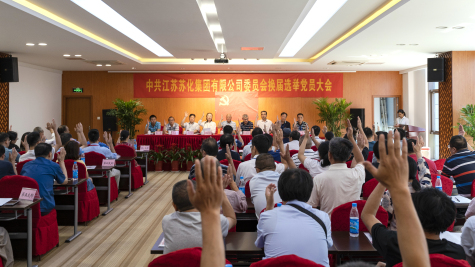 集團(tuán)黨委召開換屆選舉黨員大會(huì)