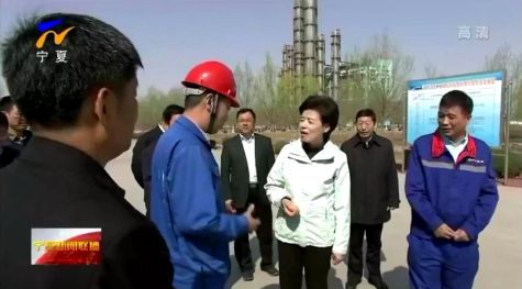 寧夏回族自治區(qū)主席咸輝率隊到華御檢查調(diào)研