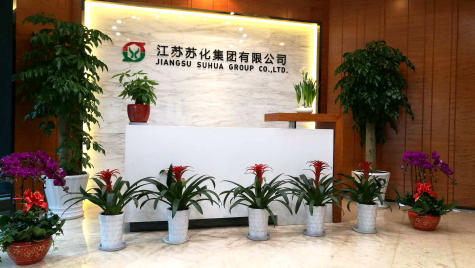 掛燈籠，貼春聯  蘇化科技園內年味濃