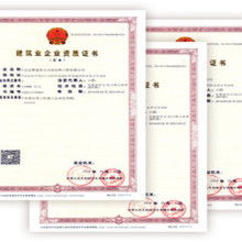 劳务派遣的现状、挑战与规范化发展路径分析